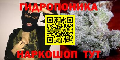 трава Кунгур