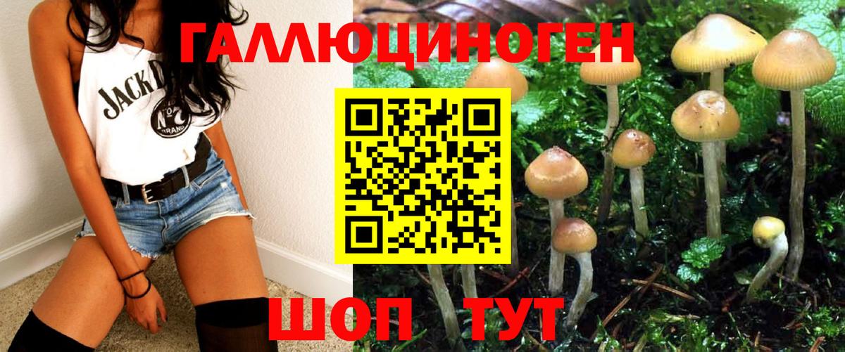 Псилоцибиновые грибы Magic Shrooms Зеленогорск