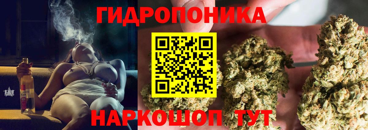 Бошки Шишки семена  Вход с VPN  Зеленогорск  Каннабис планчик 